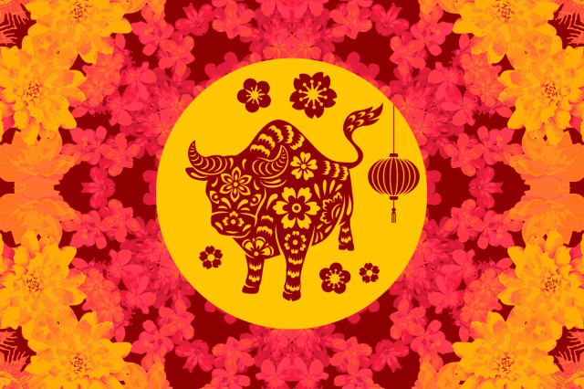 illustration of ox