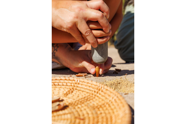 Parent guiding a child's hand to crack acorn with bedrock mortar and pestle