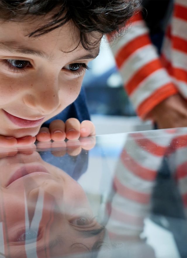 Kid looking at specimens in the Nature Lab