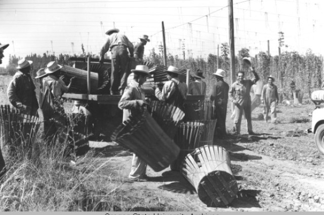 Image of braceros hauling baskets into trucks